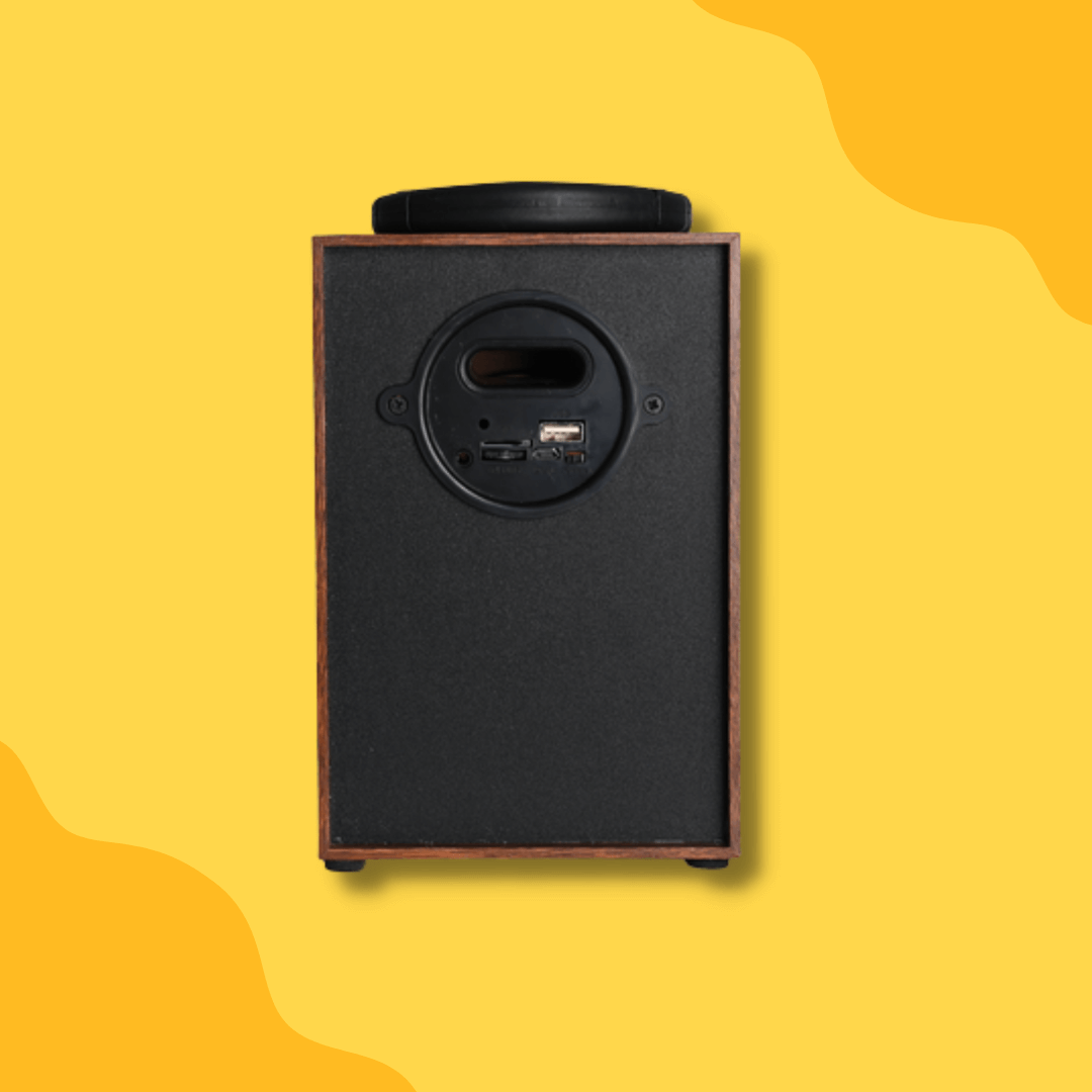 1642677923_Vintage-Wooden-Speaker-MS-WS-003-Mix-Color-03